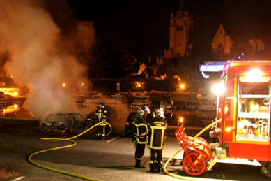 Dole; car-fire in 2010.