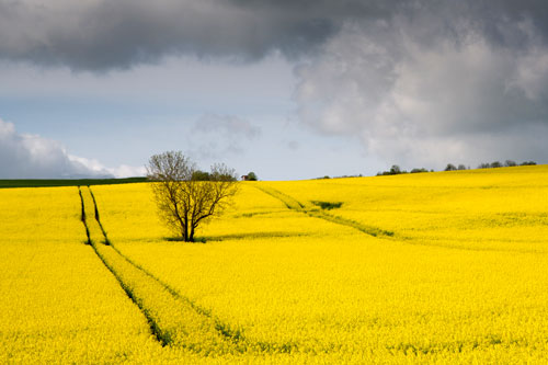 Enroute to Sauvoy in April 2015.
