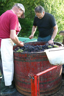 Visit to the Jura at Catherine's parents vineyard.