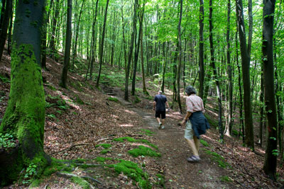 Mark and Lesley in Lutzelbourg in June 2013.