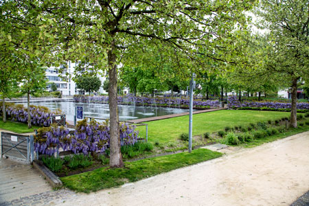 Nancy - moored at the Japenese Water Gardens in 2013.