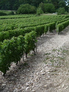 Sancerre in 2010.